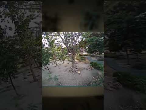 GREAT TRANSFORM Aquila16 | FREESTYLE FPV #shorts