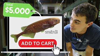 $5,000 in Freshwater Fish for the Shop (Import Day) 