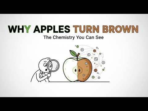 Why Apples Turn Brown (The Hidden Chemistry Explained)