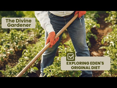 The Divine Gardener  Exploring Eden's Original Diet