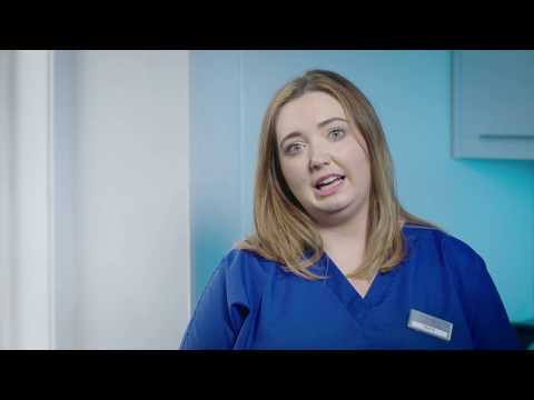 Why It's Important to Visit the Hygienist and What Will Happen at Your Visit
