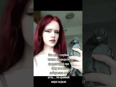 #птицы #birds #голуби #голубь