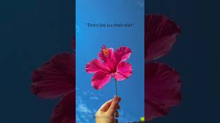 every day is a new opportunity.   #everydaysolutions #everyday brings new choices.