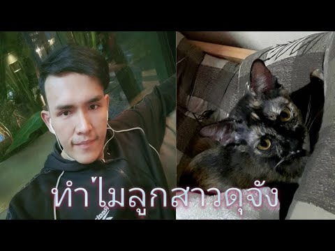 ทำไมลูกสาวดุจัง😂😂😂