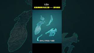 資源稟賦的天選之國—委內瑞拉#地理#看世界#南美#委內瑞拉