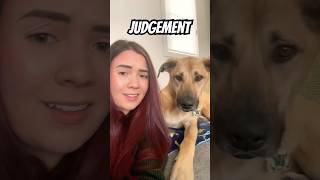 Me vs My Dog Who's the REAL Judge?
