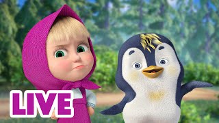 🔴 LIVE STREAM 🎬 Masha and the Bear 🕊🌷 I'm Not a Bird! 🐧🤣