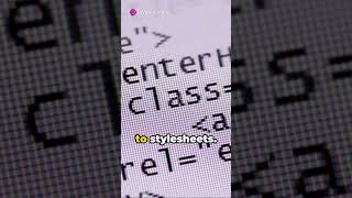 HTML Elements Uncovered