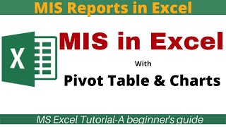 MIS Report in Excel in Hindi | How to prepare MIS Report in Excel with Pivot table & Charts.