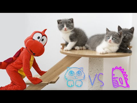 Kittens vs Dinosaur | Little Kittens