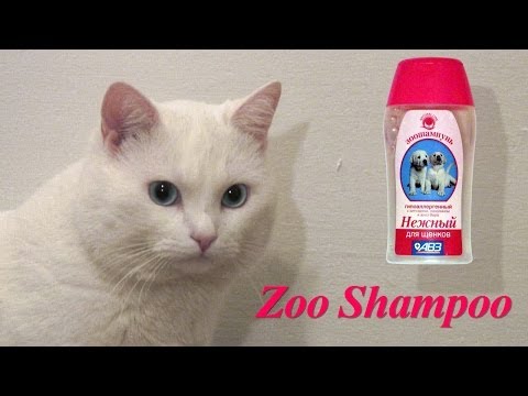 Pet Shampoo Commercial: (English version)
