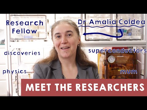 Dr Amalia Coldea - Meet The Researchers