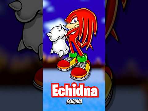 Knuckles The Echidna or Porcupine?! #sonicthehedgehog #knuckles #sega #nintendo