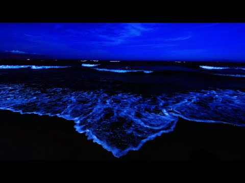 Whispers of the Night Ocean – 3 Hours of Soothing Waves for Deep Sleep