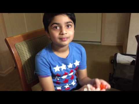 Madhavan's stickybots