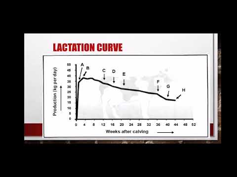 Lactation Curve (Animal Reproduction) Grade 12 Agricultural Sciences