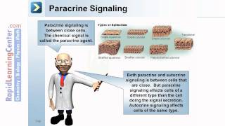 Rapid Learning: Cell Communication - What is Cell Communication?