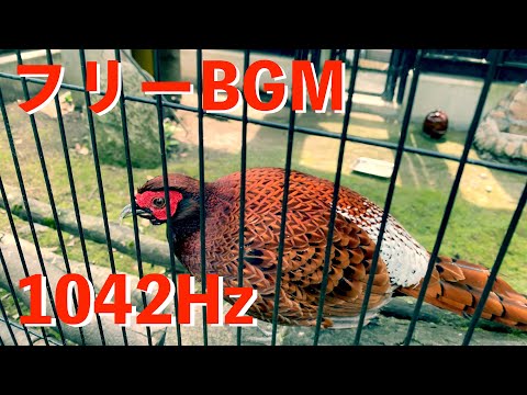 【フリーBGM】  1042Hz