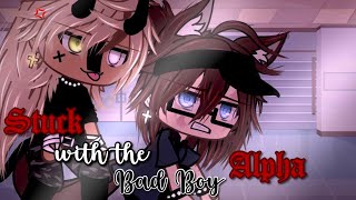 Stuck with the Bad Boy Alpha || BL/GAY || Gacha Life Mini Movie || GLMM || PART 1 ||