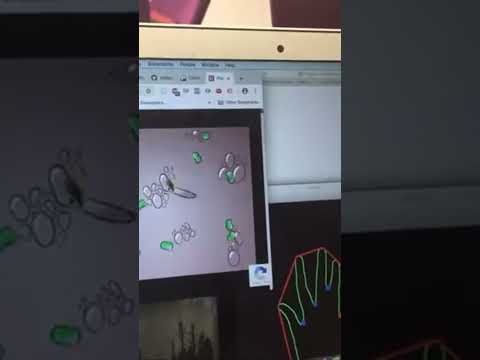Gesture-Controlled Gaming: Playing Amorphous+ with OpenCV and Python