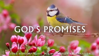 God's Promises: Prayer Instrumental Music, Deep Focus 24/7 - Music For Studying, Work And Meditation