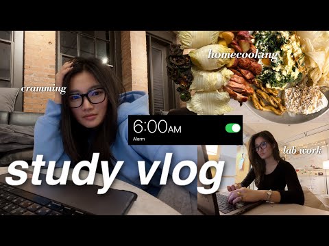 productive study vlog | cramming for exams, my flashcard system, how i still feed myself
