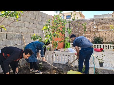 Transforming the yard with beautiful flowers in the village/Gardening in the nomadic life of iran