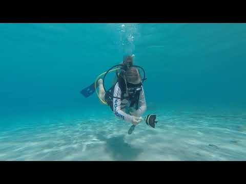 Searching for Mermaids in Bonaire | Sailing Catamaran Element