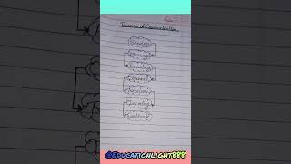 📚👩‍🏫🎯 Process of Communication:-#communication #education #bcomnotes #exam #ytshorts #learning#learn