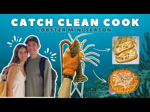 Lobster Mini Season: Catch Clean and Cook | Lobster Rolls and Pasta!