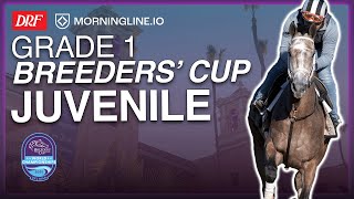 DRF Friday Race of the Day | Grade 1 Breeders' Cup Juvenile | October 31, 2025