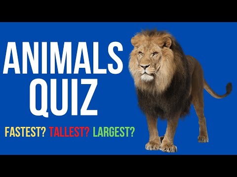 Kids Animals Quiz | Can you name the Tallest, Largest, Fastest Animals?