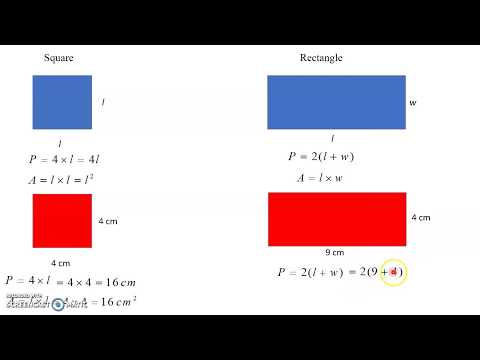 Topic 3 Space and Shape Part 1: Area and Perimeter of Basic Shapes