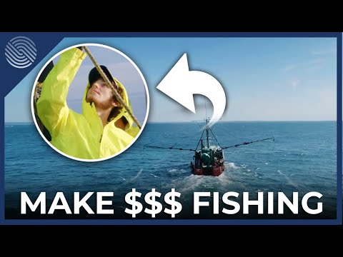 How to Get Commercial Fishing Jobs Without College