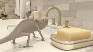 Chameleon vs Faucet - A (short) battle for artisan finishes