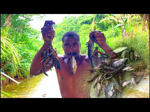 Catch and cook invasive Australia red claw crayfish