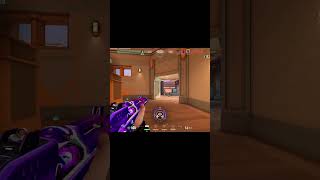Sage Ace #valorant  #ace  #sage