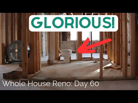 Worst Part of Home Renovations? Doing the “guts” of the home (plumbing, HVAC, and electrical work)