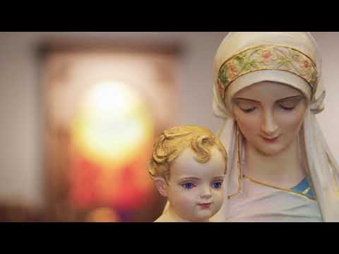 A Brief Thank You to St. Jerome Parish
