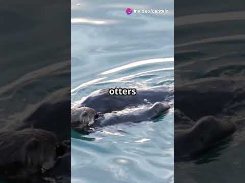 10 Weird Animal Facts You Won’t Believe! 🐙😱 #shorts