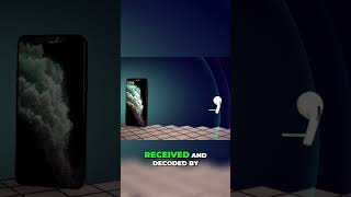 How Your Phone's Electromagnetic Waves Work part5