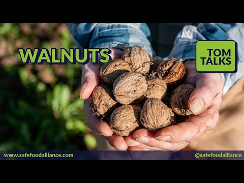 Tom Talks - Walnuts