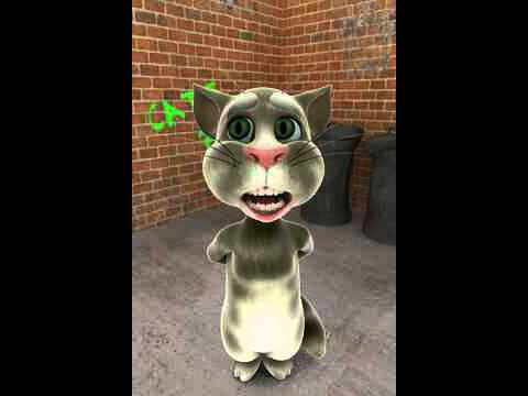 Talking Tom Punjabi