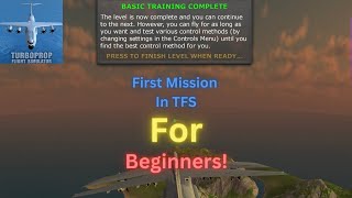 First TFS mission for beginners - 2024 Guide