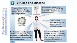 Rapid Learning: Viruses - What are Viruses?