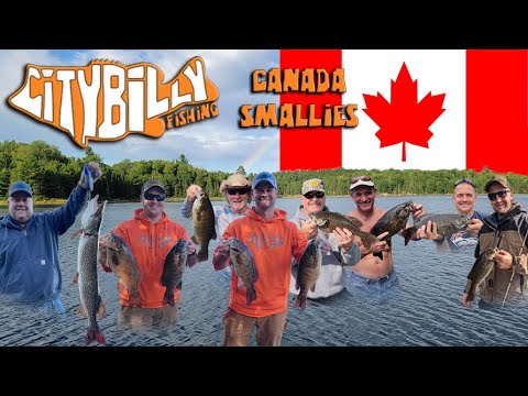 [4K] Lac McGillivray Canada Smallmouth Fishing 2022