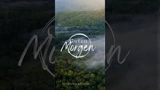wunderbarer morgen?