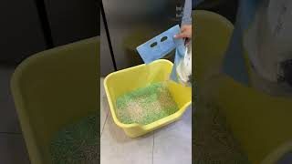 Go tofu cat litter and you never go back! #shorts