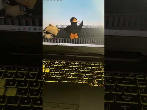 Just got a new Roblox friend!
