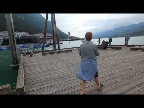 Juneau Diary